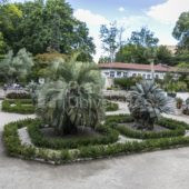 Jardin des plantes Université de Montpellier