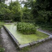 Jardin des plantes Université de Montpellier