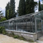 Jardin des plantes – Université de Montpellier