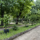 Jardin des plantes – Université de Montpellier