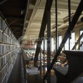 Bibliothèque et archives – Université Paris Cité