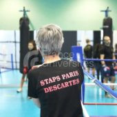 Sport – Université Paris Cité