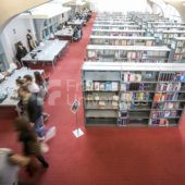 Bibliothèque – Université de Haute-Alsace