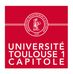 Logo Université de Toulouse Capitole