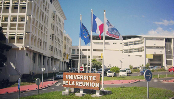 Coup de projecteur : à l’Université de la Réunion, l’environnement est une préoccupation quotidienne 