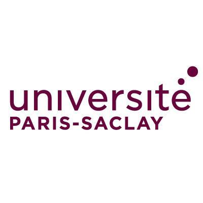 Logo Université Paris Saclay