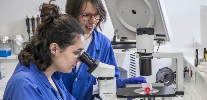 Les universités confirment leur engagement en faveur de l’égalité femmes-hommes