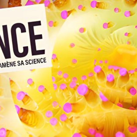 Festival Pariscience 2025 : cinq jours de science en images et en débats 