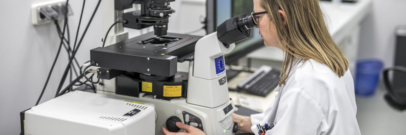 Revue de presse : vendredi 19 décembre 2025