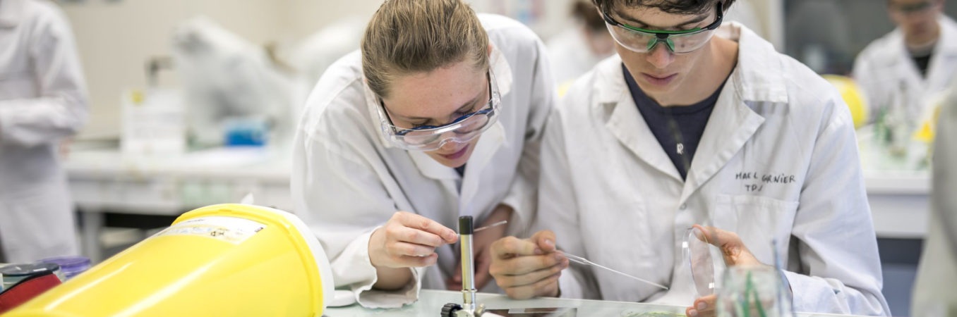 Revue de presse : vendredi 13 février  2026