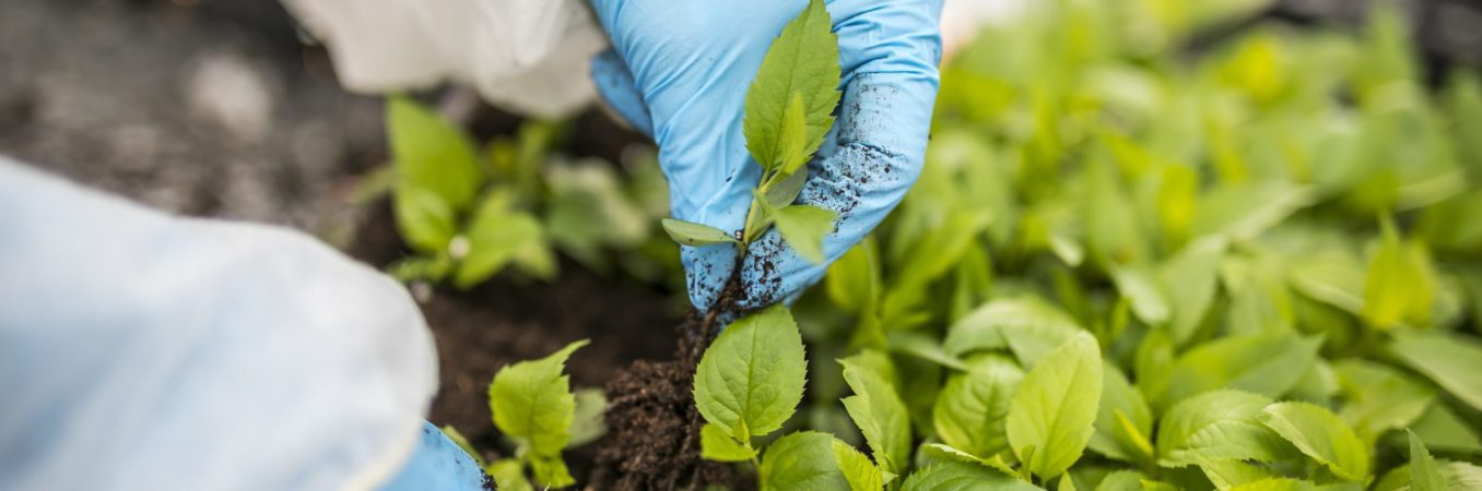 Ouverture des candidatures aux médailles de la médiation scientifique 2026 