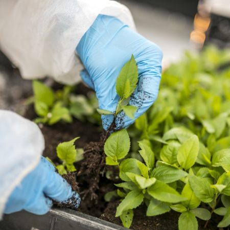 Médailles de la médiation scientifique 2026