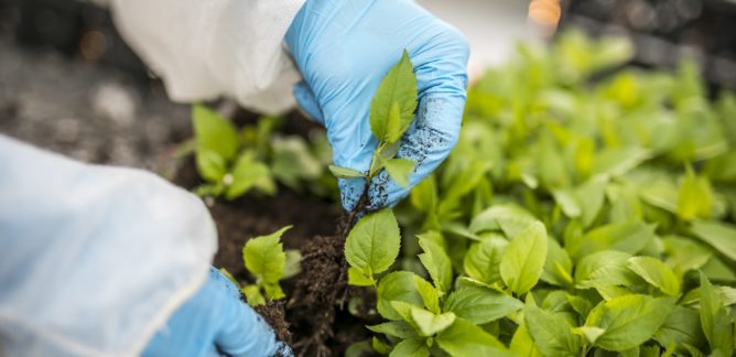 Médailles de la médiation scientifique 2026