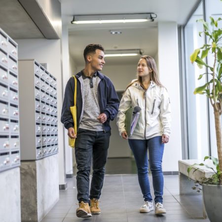 Insersup : un outil qui masque la réalité de l’insertion professionnelle 